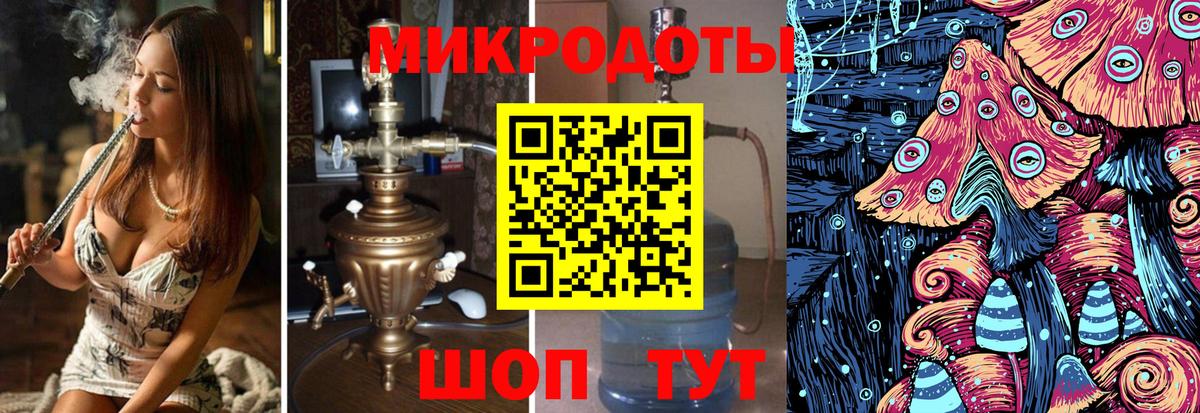 Дмитров  наркота  Вход с VPN  Галлюциногенные грибы Psilocybine cubensis 